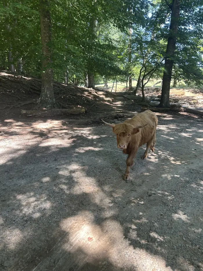 Kingdom Kidz field trip: Out in the pasture