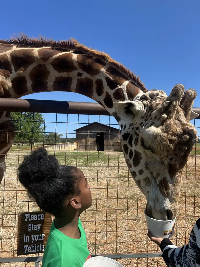 Kingdom Kidz field trip: The giraffe said hi