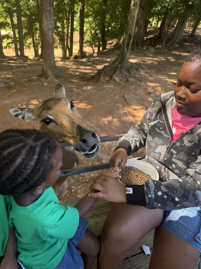 Kingdom Kidz field trip: Feeding the deer