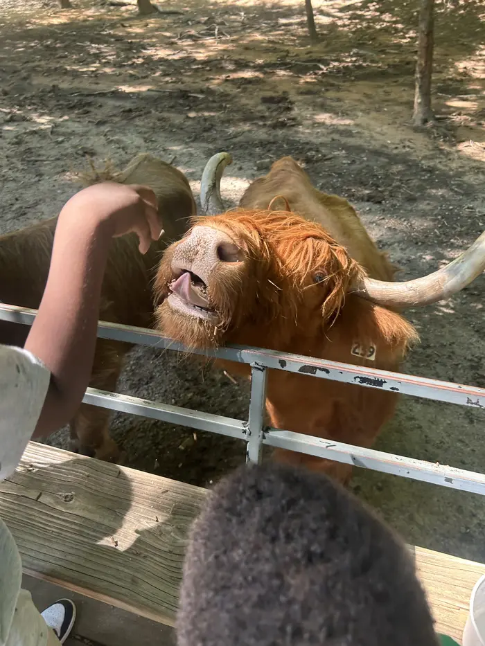 Kingdom Kidz field trip: A very fuzzy friend